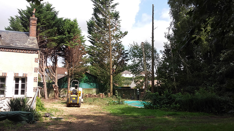 Élagage arbre à Lutz-en-Dunois près de Chartres en Eure-et-Loir (28) - Les  Jardins de Lutz Crespin